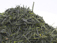 Sencha aus Uji, Wazuka, Cultivar Z1