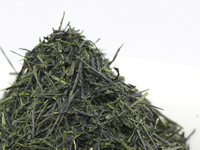 Gyokuro di Asahina, cultivar Yabukita