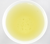 Sencha di Tenryù, Tatsukawa, cultivar Kurasawa