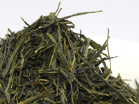 Sencha de Hon.yama, Umegashima, variété indigène « zairai »