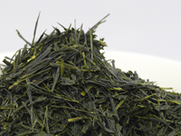 Sencha di Asamiya, cultivar Yabukita