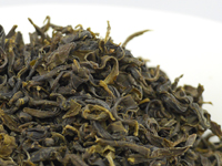 Kama-iri cha from Tosa: “zairai” yamacha (Ryû)