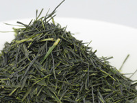 Sencha di Kawane, cultivar Inaguchi