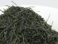 八女煎茶 矢部村 薮北