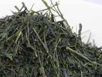 Sencha from Kagoshima, Saemidori cultivar