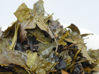 Kyô-bancha (Iri-bancha)