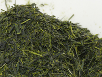 Sencha di Kagoshima, cultivar Asatsuyu