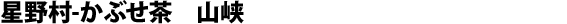 Kabuse-cha from Hoshino, Yame, Yamakai cultivar