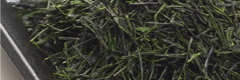 Gyokuro Gyokuro