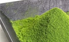 Matcha Matcha