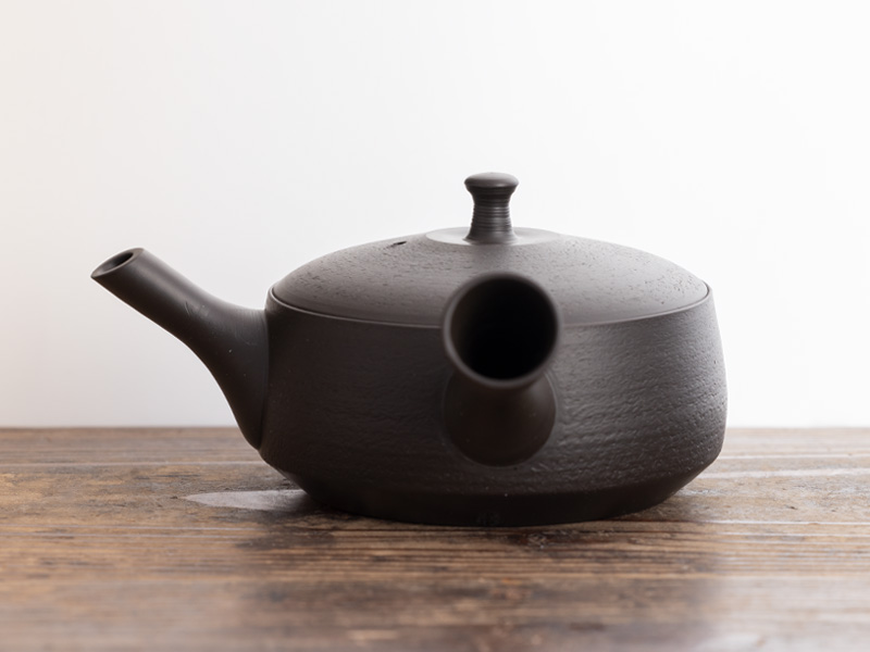 Tokoname-yaki kyusu teapot by Hokuryû 160 ml [POT-65-020
