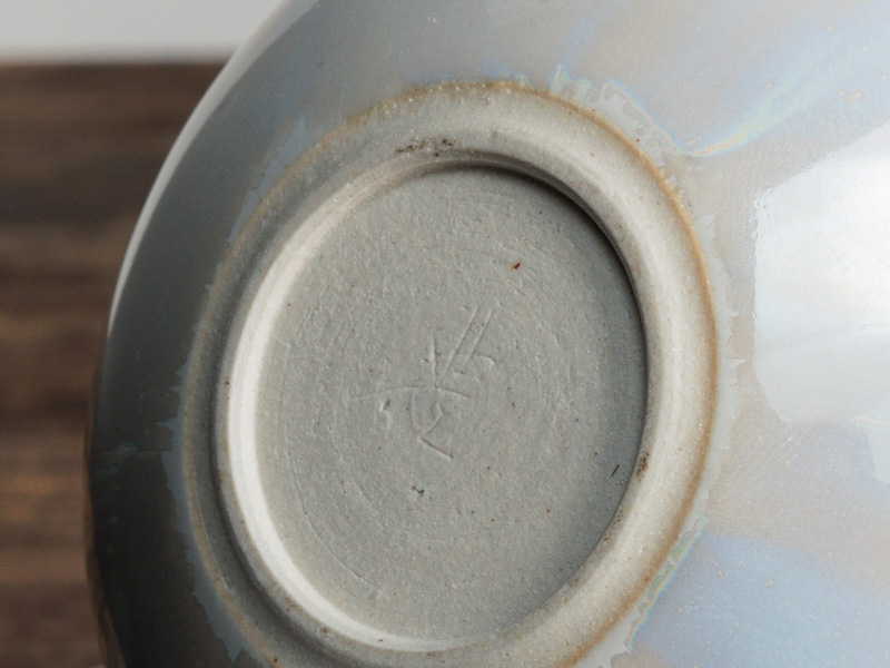 Tokoname-yaki kyûsu teapot by Tsuzuki Seihô 240 ml [POT-65-051 