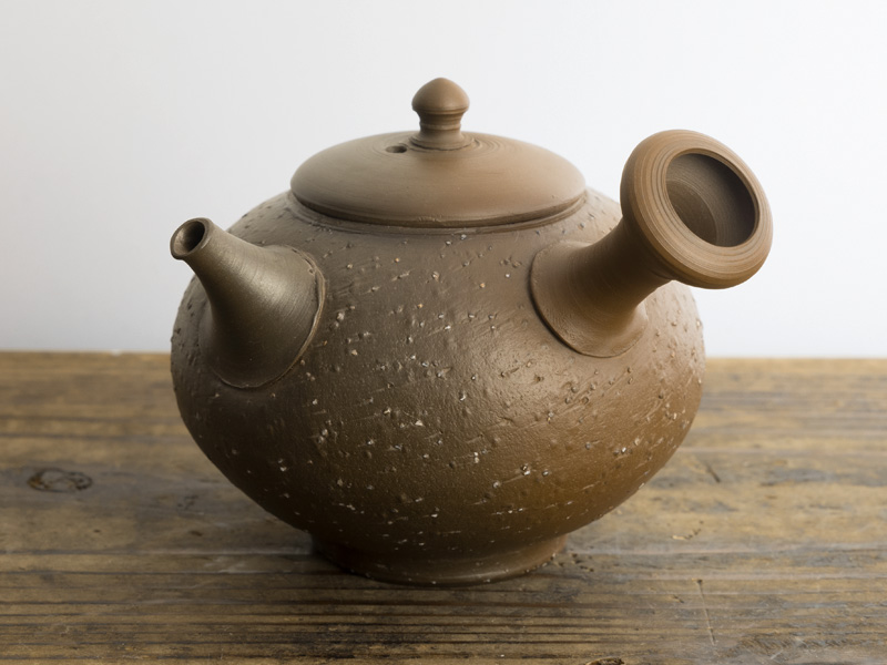 “Yôhen” kyûsu teapot by Shiraiwa Taisuke, 210 ml [POT570120210