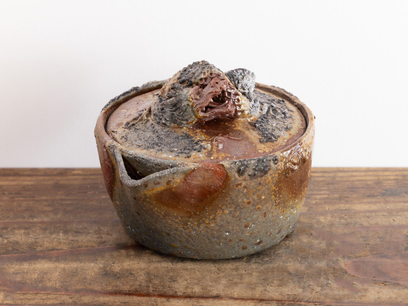 Bizen-yaki hôhin teapot, "yôhen" by Kobashi Masaaki, 120 ml