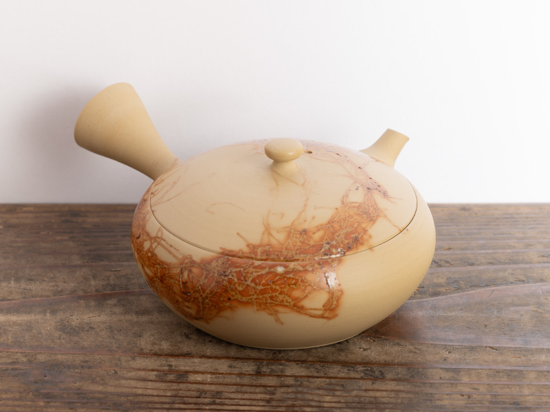 Tokoname-yaki kyûsu teapot by Mizuno Hiroyuki 190 ml