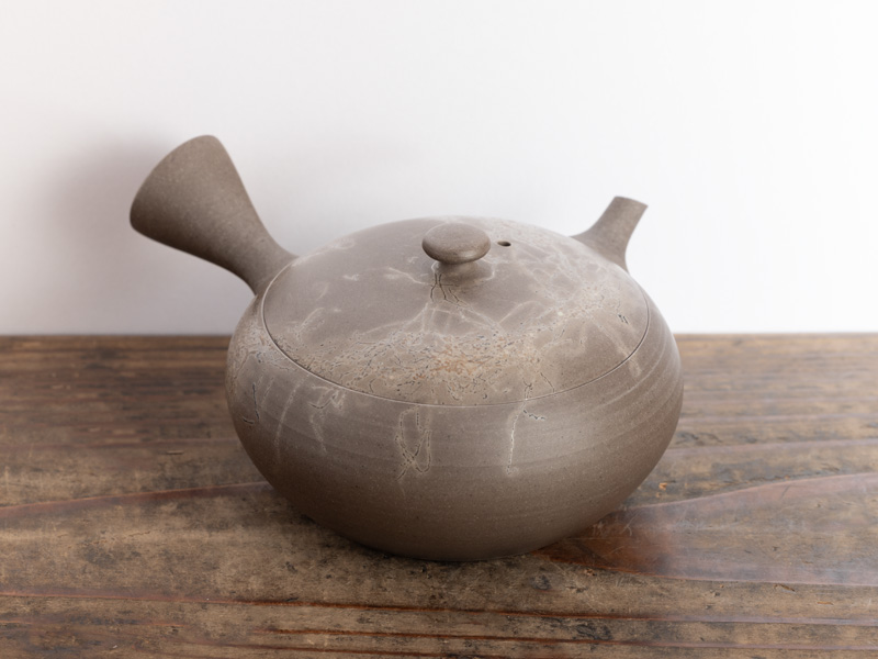 Tokoname-yaki kyûsu teapot by Mizuno Hiroyuki 190 ml