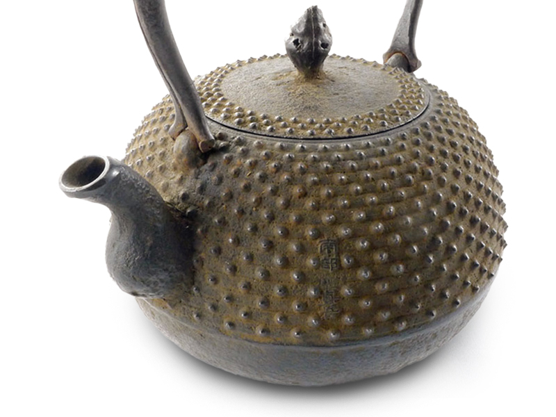 Nanbu tetsubin kettle from Mizusawa, shell, by Kikuchi Shingo