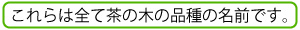 火入れについて