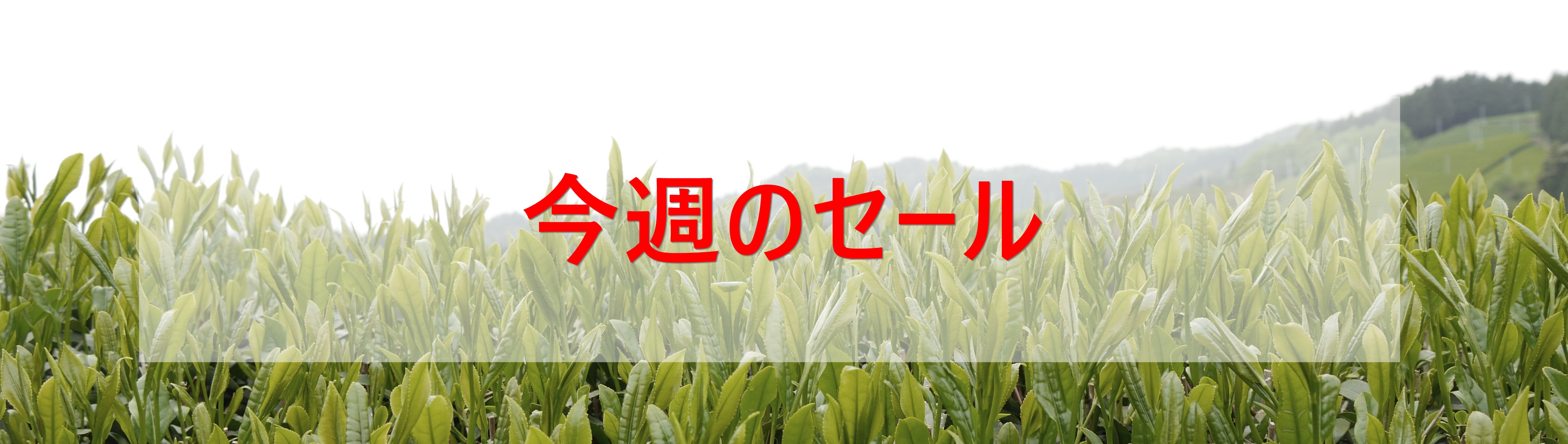 青鶴茶舗-Thés du Japon
